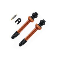 Barbieri Tubeless Ventil-Set (2 Stück), orange