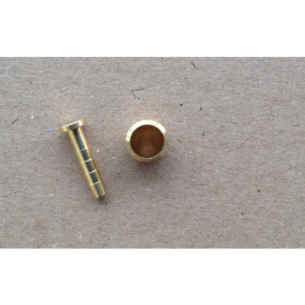 Shimano Olive + Pin für Bremsleitung BH59/BH62/BH63/BH96