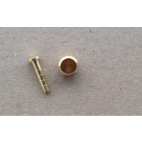 Shimano Olive + Pin für Bremsleitung...