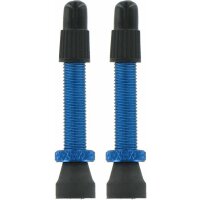 VAR Tubeless Ventile SV (2 Stück), versch. Farben, NEU