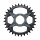 Shimano SM-CRM75 Kettenblatt für Kurbel SLX 12-fach FC-M7100, 32 Zähne