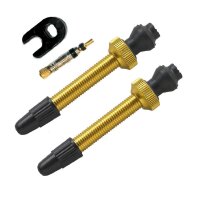 Barbieri Tubeless Ventil-Set (2 Stück), gold, OVP