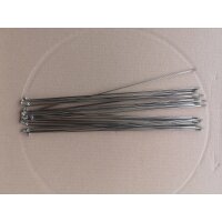 DT Swiss Competition 2,0/1,8 238 mm silber Speichenset,...
