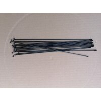 DT Swiss Competition 2,0/1,8 230 mm schwarz Speichenset,...